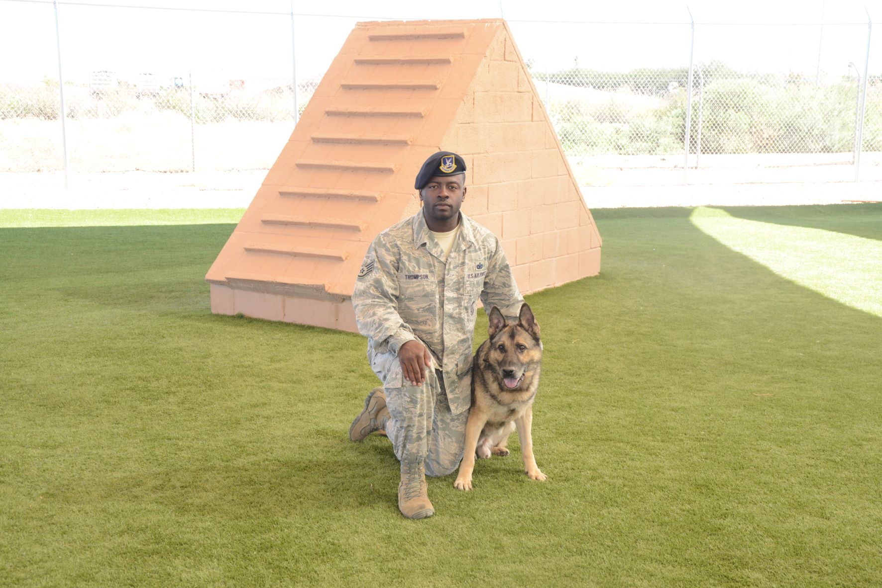 Knock Out Dog Training Gulf Coast — professional trainer working with dog