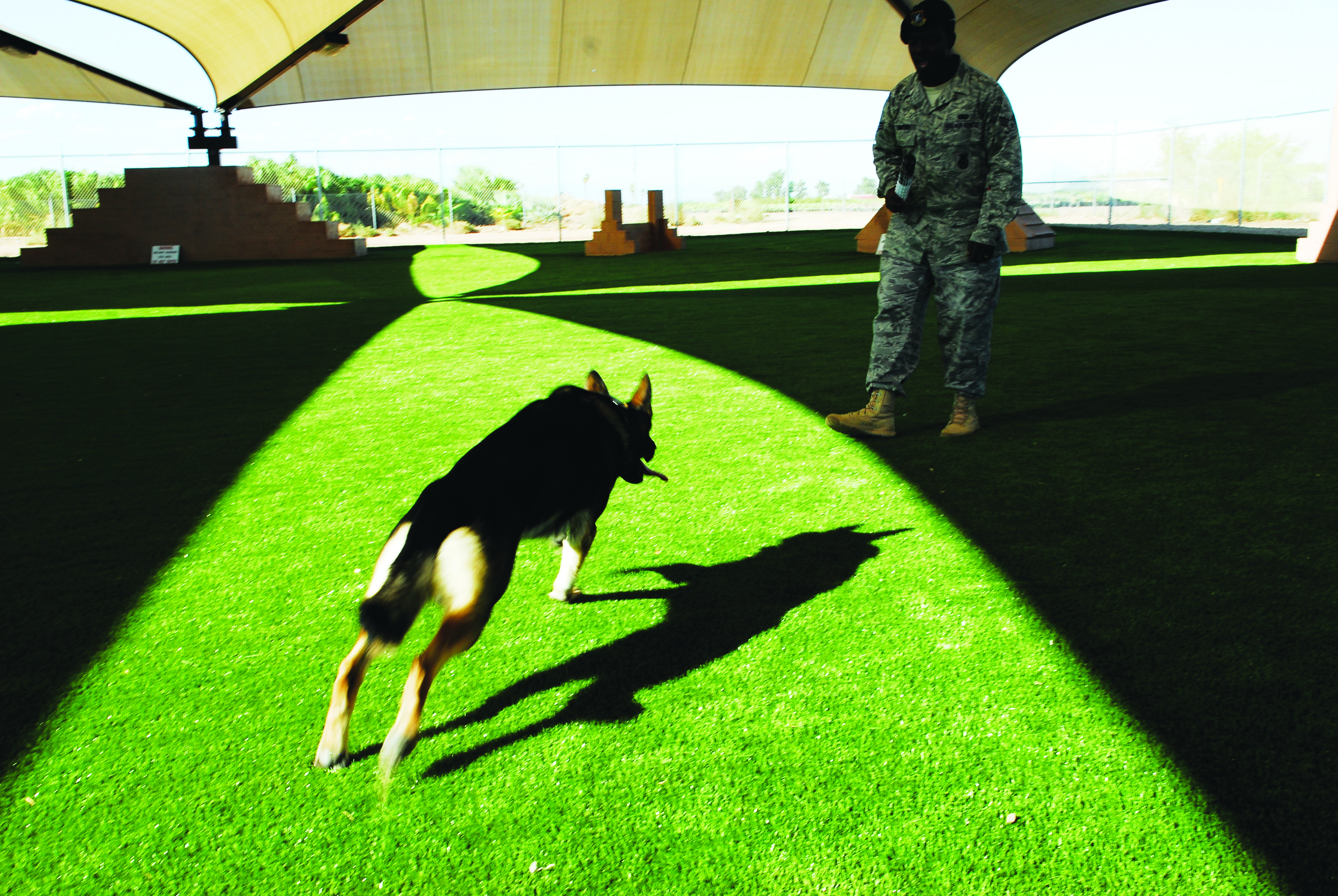 Military working dog handler with K9 on training field