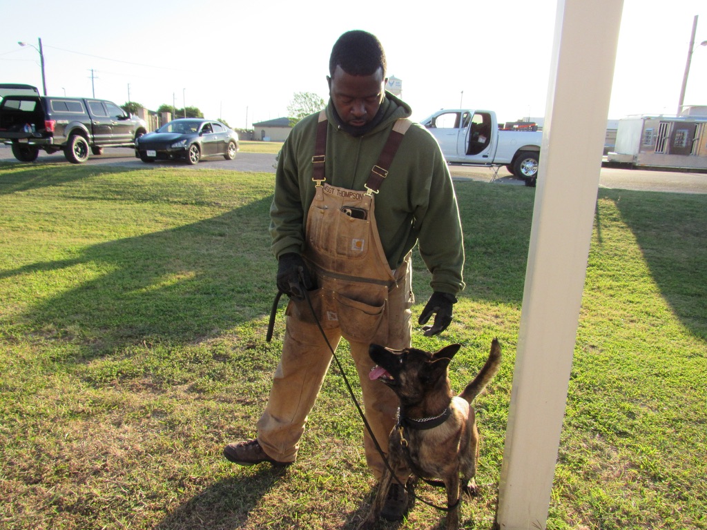 Knock Out Dog Training Gulf Coast trainer